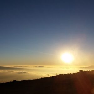 Meet your Posher, Tasha